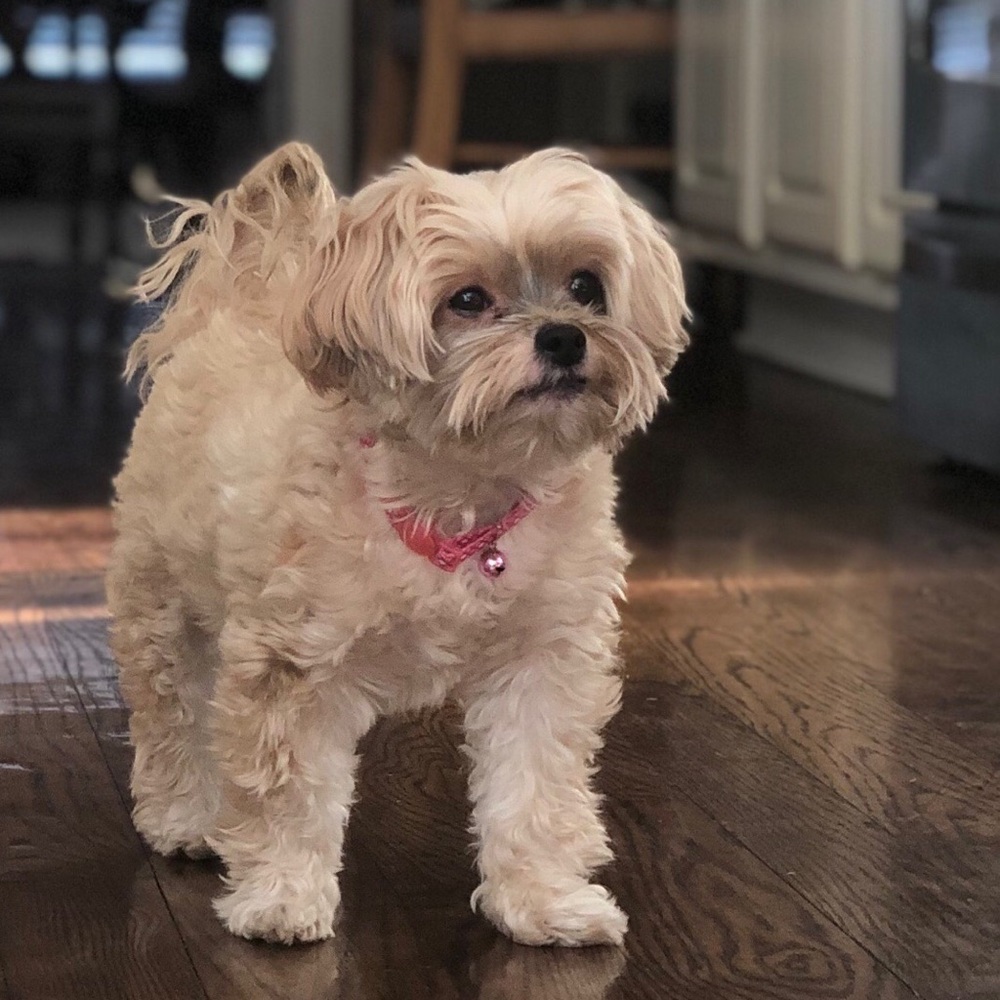 Meet your Posher, Jennifer